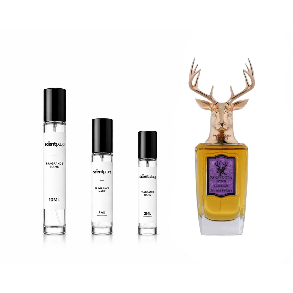 Sample of Daydream Pana Dora Decant by The Scent Plug, featuring a clear glass bottle with a white cap and floral fragrance label.