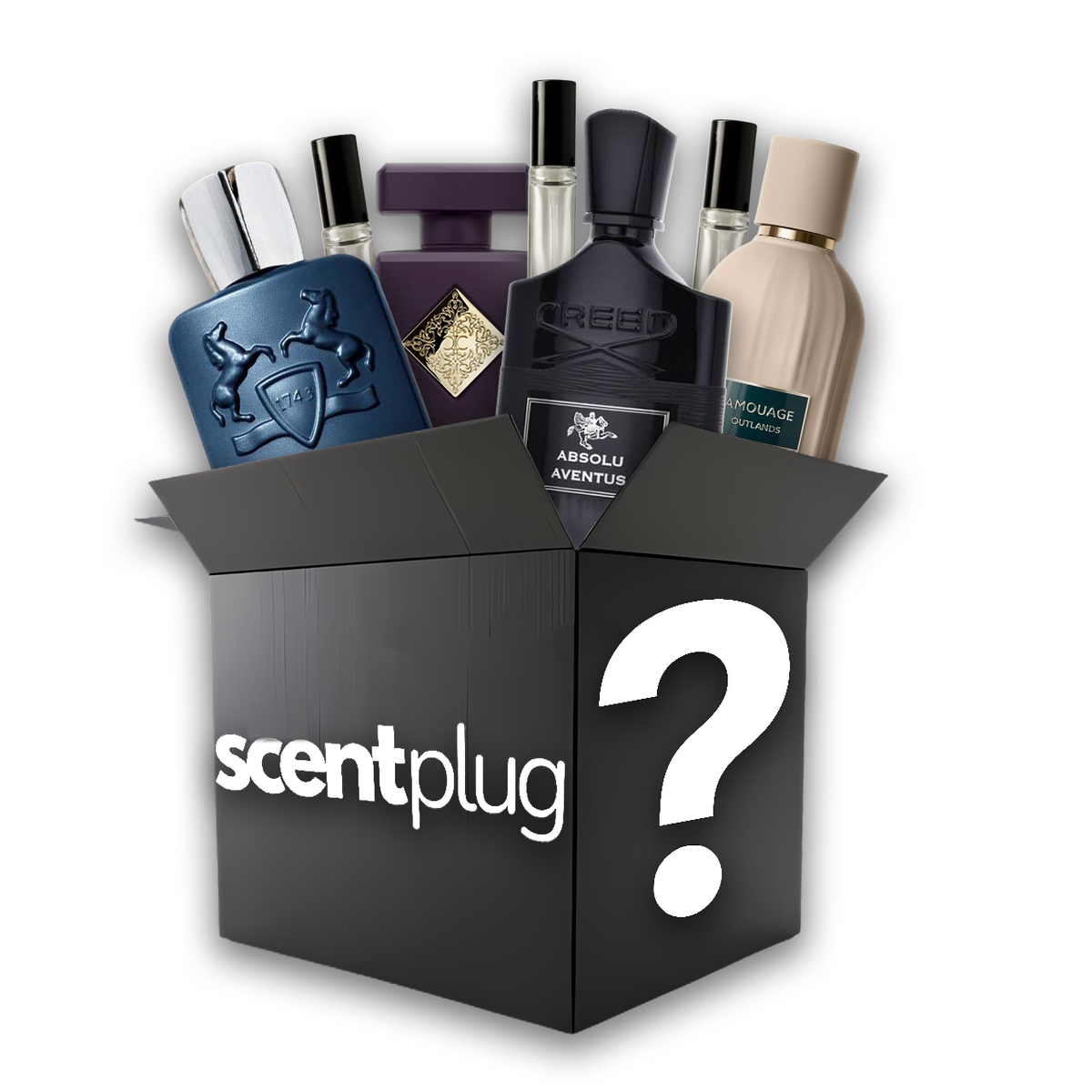Mystery Box (Niche)